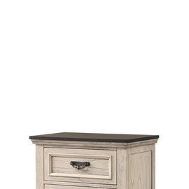 Levin Bedside